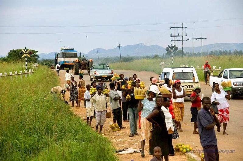 Zimbabwe travel (13).jpg - Mazowe fruit commerce.